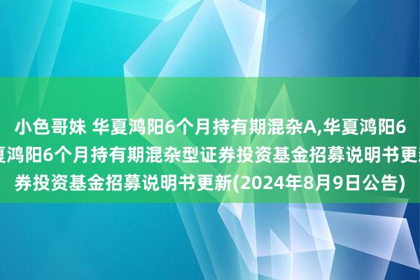 小色哥妹 华夏鸿阳6个月持有期混杂A,华夏鸿阳6个月持有期混杂C: 华夏鸿阳6个月持有期混杂型证券投资基金招募说明书更新(2024年8月9日公告)