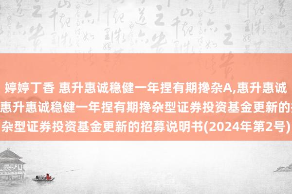 婷婷丁香 惠升惠诚稳健一年捏有期搀杂A,惠升惠诚稳健一年捏有期搀杂C: 惠升惠诚稳健一年捏有期搀杂型证券投资基金更新的招募说明书(2024年第2号)