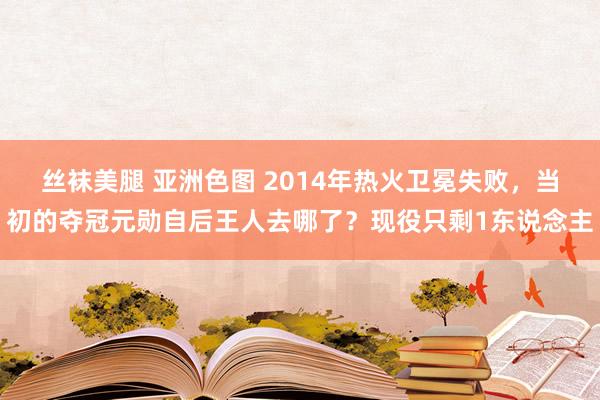 丝袜美腿 亚洲色图 2014年热火卫冕失败，当初的夺冠元勋自后王人去哪了？现役只剩1东说念主