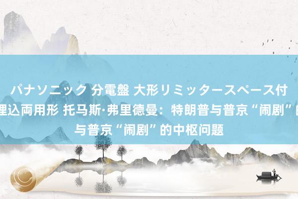 パナソニック 分電盤 大形リミッタースペース付 露出・半埋込両用形 托马斯·弗里德曼：特朗普与普京“闹剧”的中枢问题