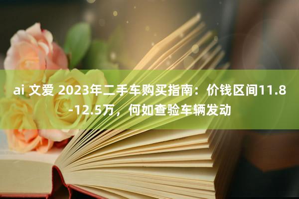 ai 文爱 2023年二手车购买指南：价钱区间11.8-12.5万，何如查验车辆发动