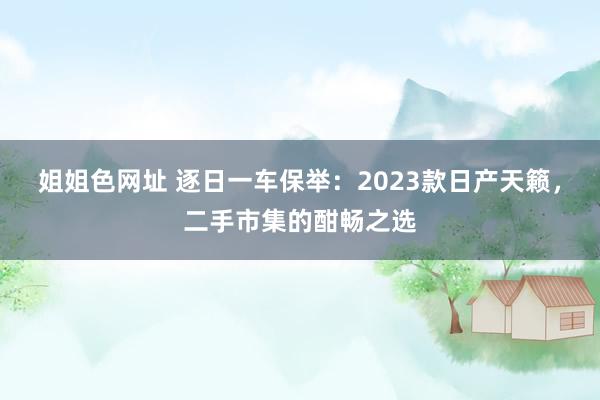 姐姐色网址 逐日一车保举：2023款日产天籁，二手市集的酣畅之选