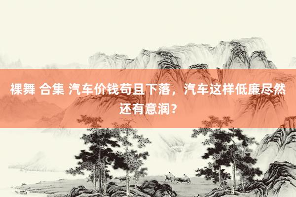 裸舞 合集 汽车价钱苟且下落，汽车这样低廉尽然还有意润？
