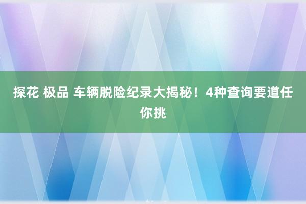 探花 极品 车辆脱险纪录大揭秘！4种查询要道任你挑