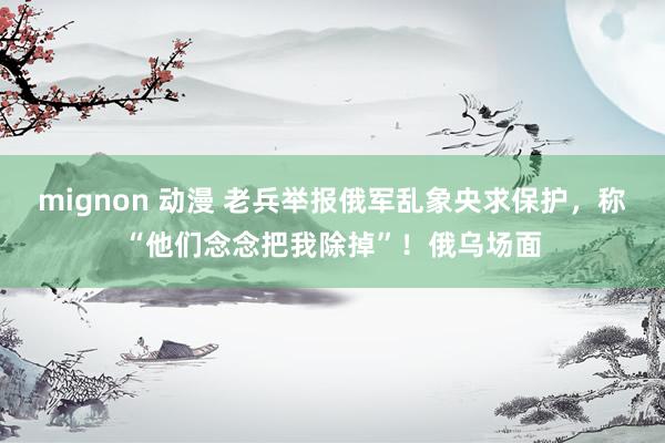 mignon 动漫 老兵举报俄军乱象央求保护，称“他们念念把我除掉”！俄乌场面