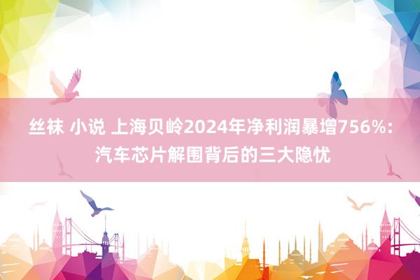 丝袜 小说 上海贝岭2024年净利润暴增756%: 汽车芯片解围背后的三大隐忧