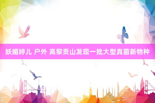 妖媚婷儿 户外 高黎贡山发现一批大型真菌新物种