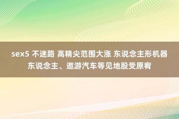 sex5 不迷路 高精尖范围大涨 东说念主形机器东说念主、遨游汽车等见地股受原宥