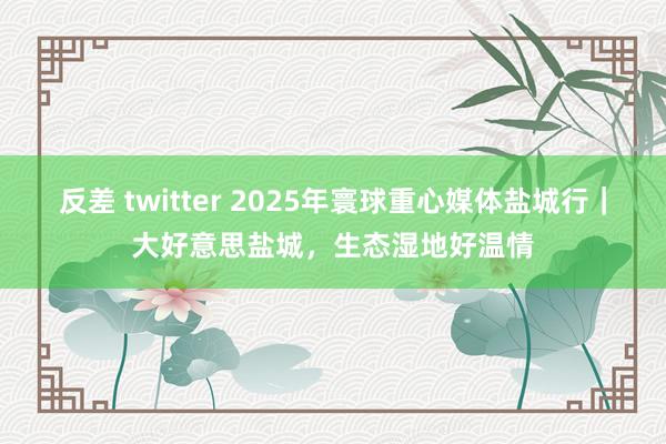反差 twitter 2025年寰球重心媒体盐城行｜大好意思盐城，生态湿地好温情