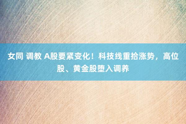 女同 调教 A股要紧变化！科技线重拾涨势，高位股、黄金股堕入调养