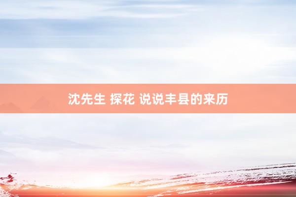 沈先生 探花 说说丰县的来历