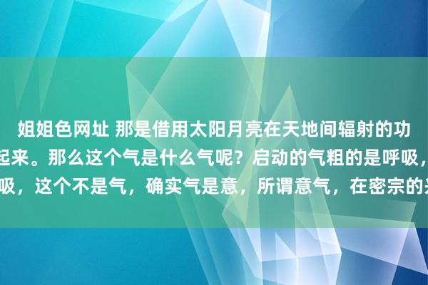 姐姐色网址 那是借用太阳月亮在天地间辐射的功能，与你我方的气勾搭起来。那么这个气是什么气呢？启动的气粗的是呼吸，这个不是气，确实气是意，所谓意气，在密宗的兴味兴味等于不雅念念。