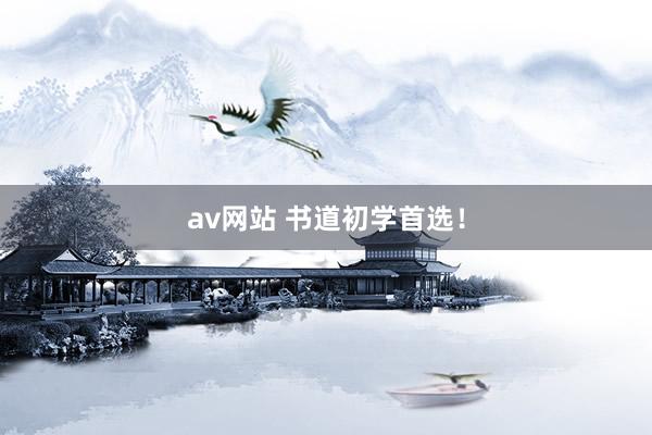 av网站 书道初学首选！