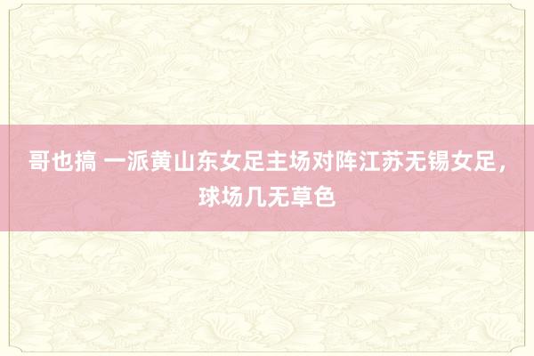 哥也搞 一派黄山东女足主场对阵江苏无锡女足，球场几无草色