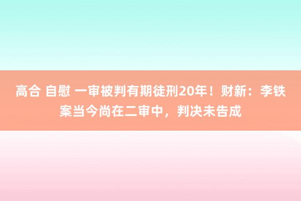 高合 自慰 一审被判有期徒刑20年！财新：李铁案当今尚在二审中，判决未告成